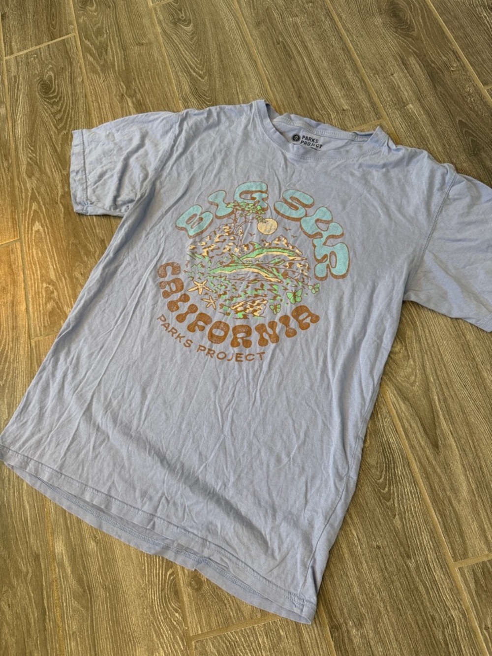 Parks Project Periwinkle unisex Big Sur California Graphic Tee size small